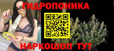 гидра Усть-Джегута