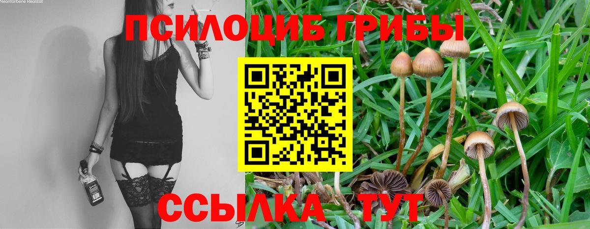 наркошоп  Галлюциногенные грибы Magic Shrooms  Вход с VPN  Алексеевка 